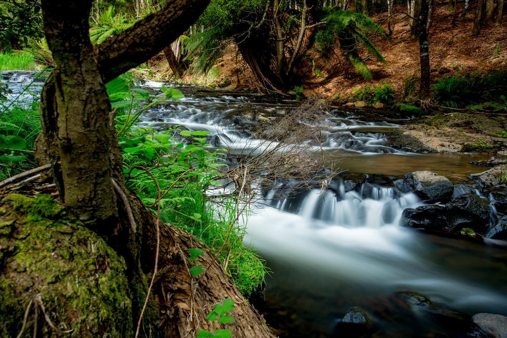 Big4 Tassie Getaway Park 울버스톤 외부 사진